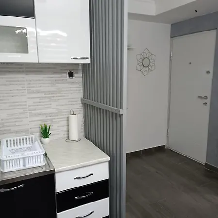 1 * Novi Sad