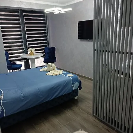 1 * Novi Sad
